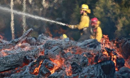 They responded to a mass shooting, then fought wildfires hours later