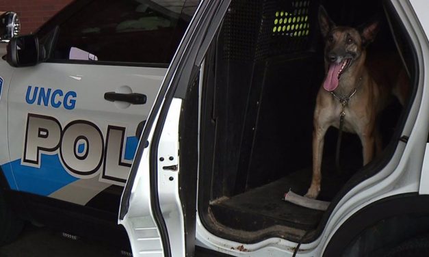 Police K-9 goes back to work after lung surgery