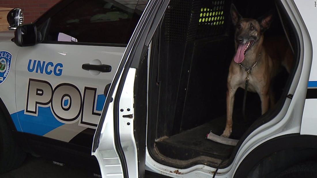 Police K-9 goes back to work after lung surgery